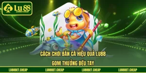 Tin Tức - LU88