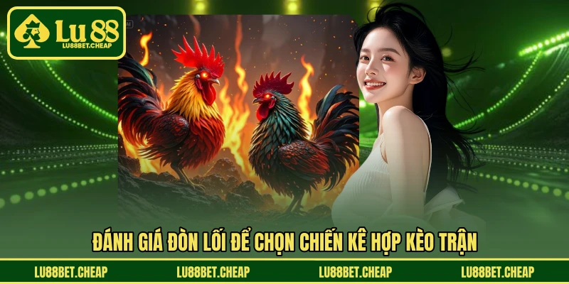 Cách Nhận Diện Gà Đá Hay LU88 - Bí Quyết Chọn Chiến Kê