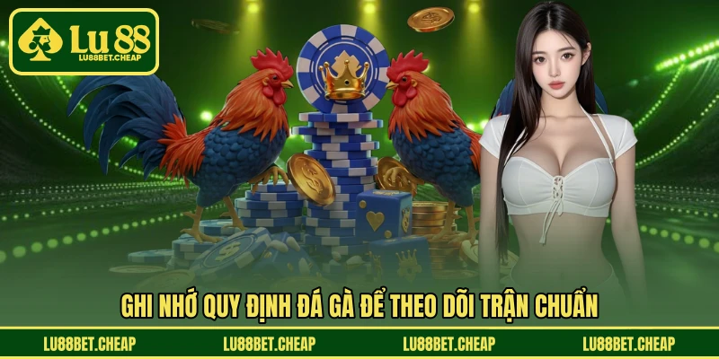 Quy Định Đá Gà LU88 - Nắm Luật Rõ Ràng Để Cược Tự Tin