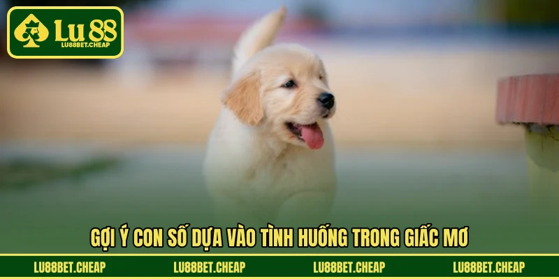 Mơ Thấy Chó LU88 - Luận Giải Ý Nghĩa Và Con Số Hợp Lý