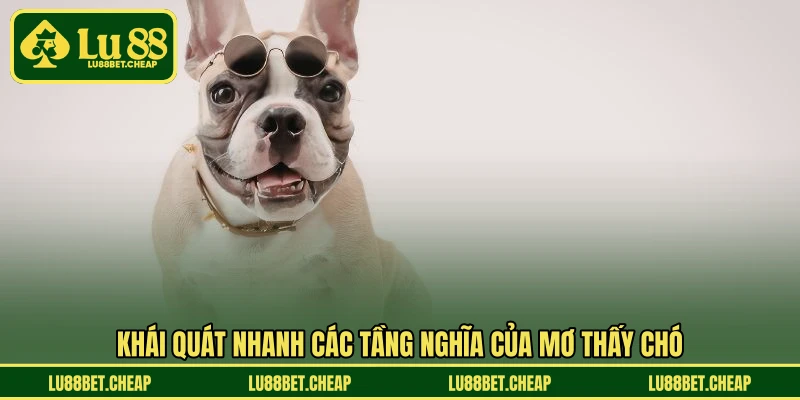 Mơ Thấy Chó LU88 - Luận Giải Ý Nghĩa Và Con Số Hợp Lý