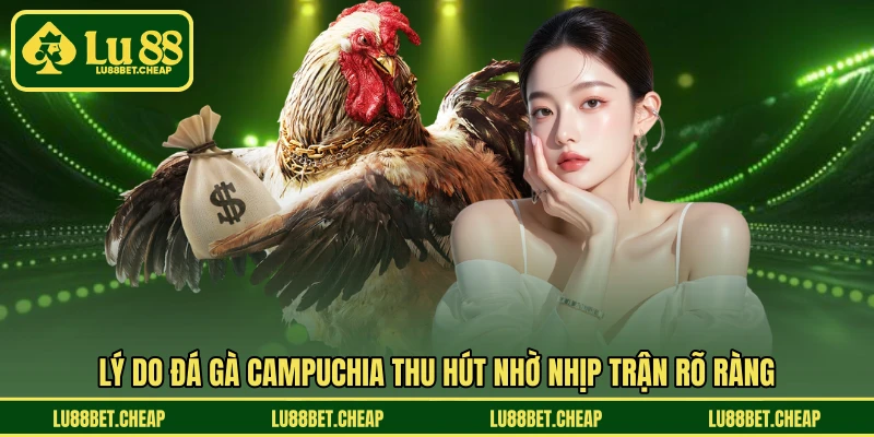 Đá Gà Campuchia LU88 - Trải Nghiệm Online Gay Cấn Mỗi Ngày