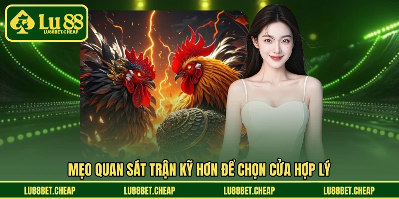 Đá Gà Campuchia LU88 - Trải Nghiệm Online Gay Cấn Mỗi Ngày