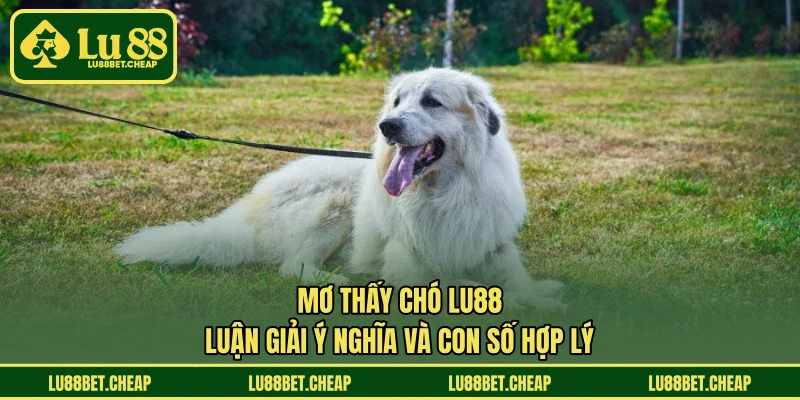 Tiến Lên Miền Nam - LU88 Hướng Dẫn Chơi Nhanh Dễ Thắng