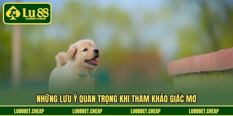 Mơ Thấy Chó LU88 - Luận Giải Ý Nghĩa Và Con Số Hợp Lý