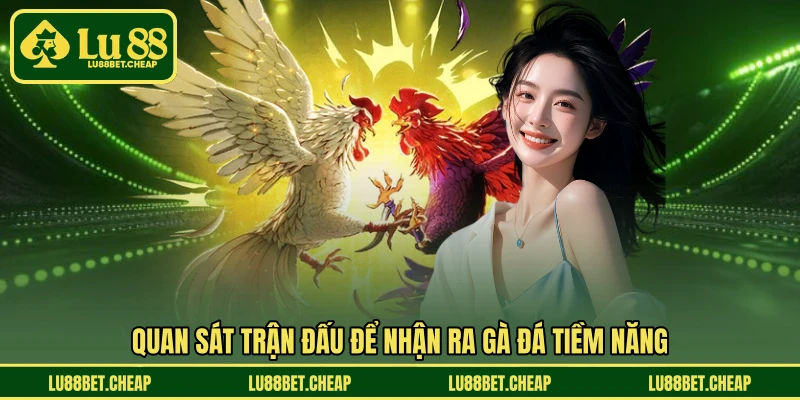 Cách Nhận Diện Gà Đá Hay LU88 - Bí Quyết Chọn Chiến Kê