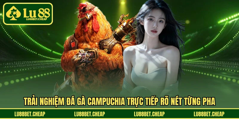 Đá Gà Campuchia LU88 - Trải Nghiệm Online Gay Cấn Mỗi Ngày