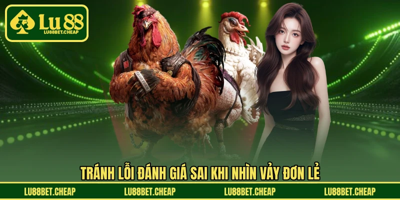 Vảy Gà Đá Hay LU88 - Dấu Hiệu Nhận Biết Chiến Kê Chất Lượng